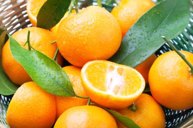 sepet içinde olgunlaşmış mandalina.