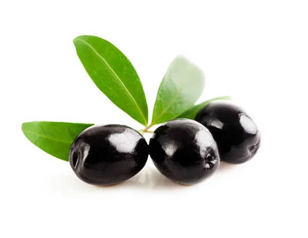 Ripe olives with a sprig isolated on a white. — Stock Photo, Image