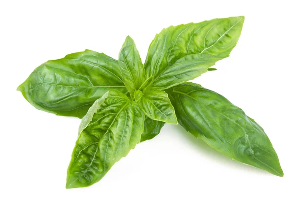 Basil isolated on white. — Stock Photo, Image