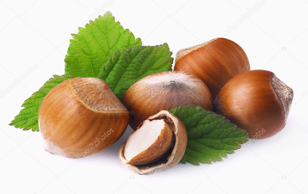 Hazelnuts with leaves on a white.