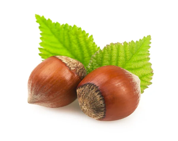 Hazelnuts with leaves on a white. — Stock Photo, Image