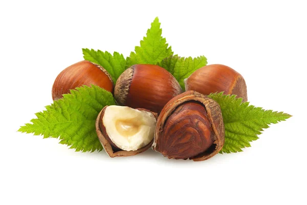 Hazelnuts with leaves on a white. — Stock Photo, Image