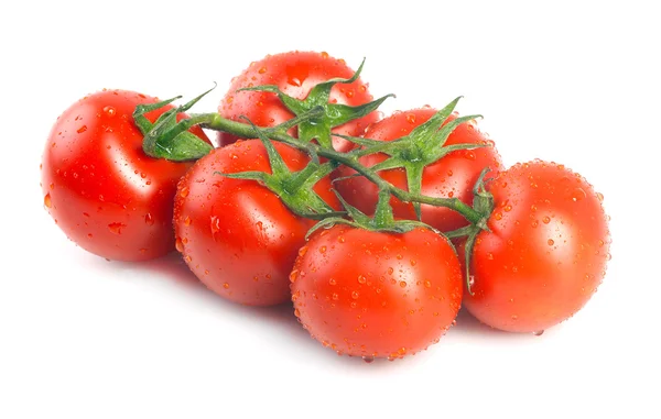 Rote Kirschtomaten. — Stockfoto