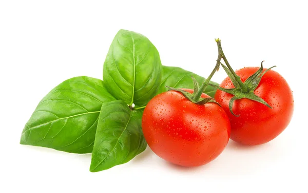 Ripe cherry tomatoes and basil. — Stock Photo, Image
