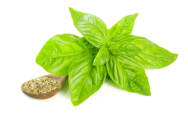 Bunch of ripe basil and dried basil seasoning — Stock Photo, Image