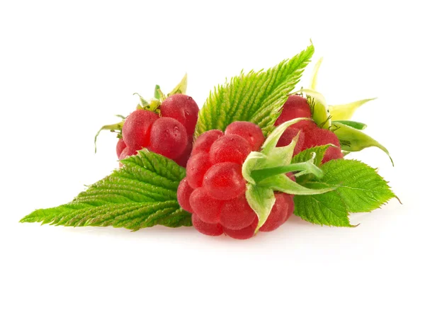 Raspberry manis dengan daun . — Stok Foto