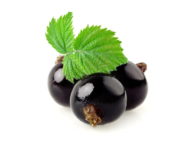 Black currant on a white. — Stock Photo, Image