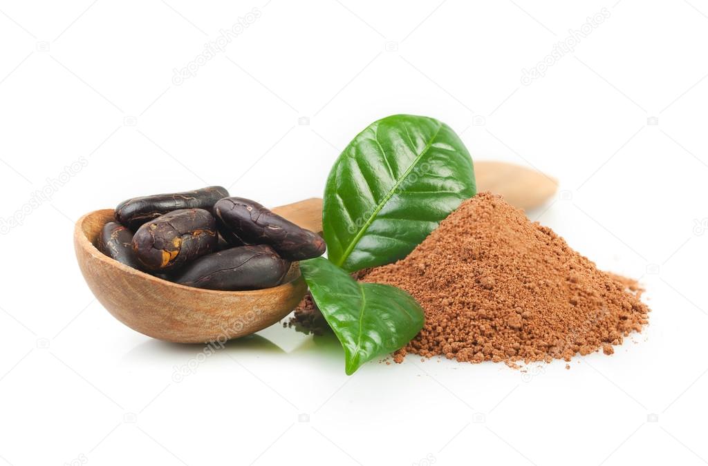 Cocoa powder and cocoa beans