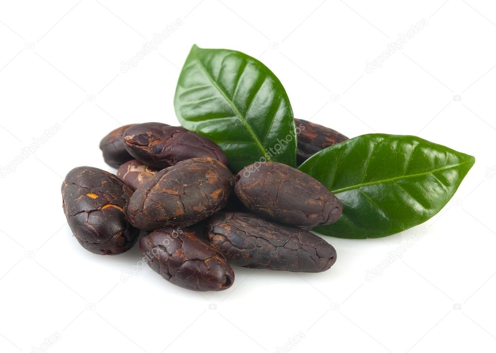 Cacao beans isolated on white.