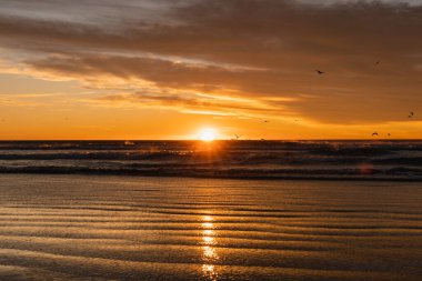 Sahilde dramatik bir gün doğumu. Kuşlar uçuşuyor..
