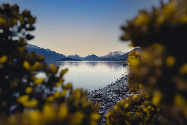 Vista Picos Nevados Entre Altramuces Amarillos Orillas Del Lago Wakatipu — Foto de Stock