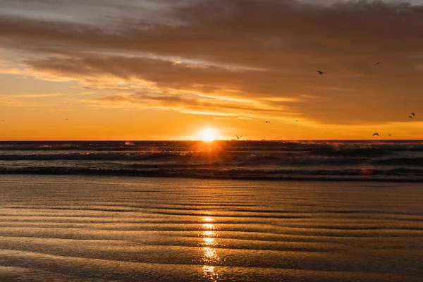 Sahilde dramatik bir gün doğumu. Kuşlar uçuşuyor..