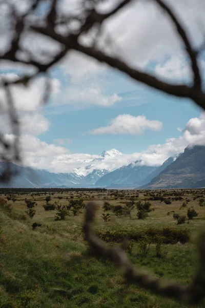 Monte Cook Visto Detrás Ramas Árboles Valle Mount Cook Parque — Foto de Stock