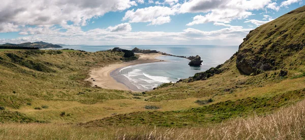 Vue Panoramique Imprenable Sur Castle Point Nouvelle Zélande Destination Voyage — Photo