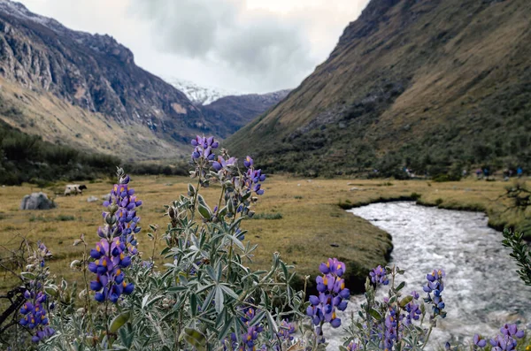 Parque Nacional Huascaran Ubicado Cordillera Blanca Perú — Foto de Stock