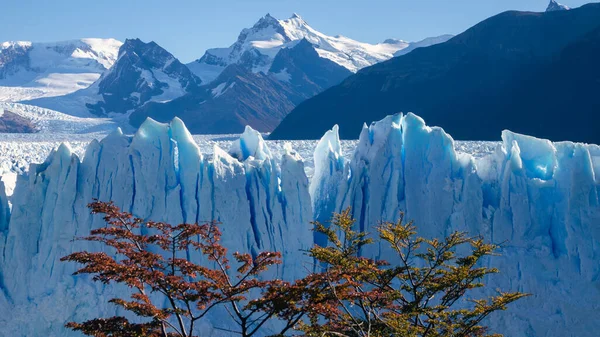 Období Ledovce Moreno Během Podzimu Patagonie Argentina Cíl Cesty — Stock fotografie