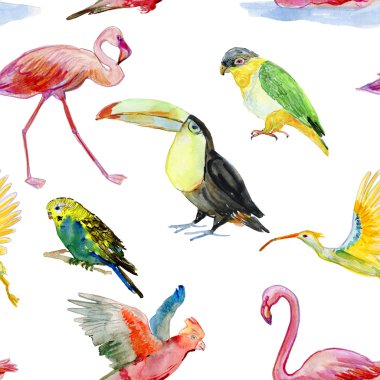Suluboya tropikal kuşlar set