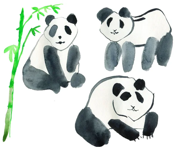 Бамбуковые листья и панды — стоковое фото