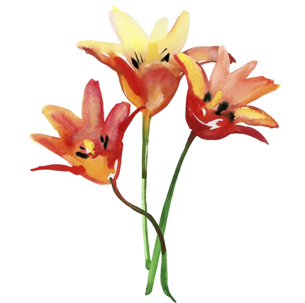 Bloeiende bloemen illustratie — Stockfoto