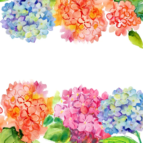 Borda floral aquarela — Fotografia de Stock