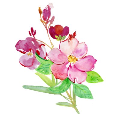 çiçek açan çiçekler illüstrasyon