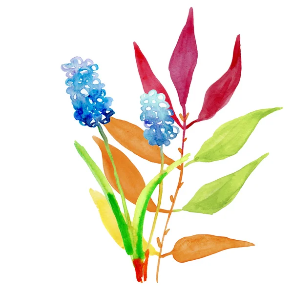 Floral ζωγραφική με νερομπογιές — Φωτογραφία Αρχείου
