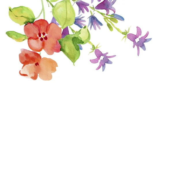 Aquarel floral grens — Stockfoto