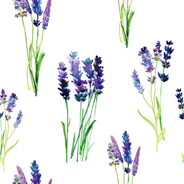 Modello con fiori di lavanda acquerello — Foto Stock