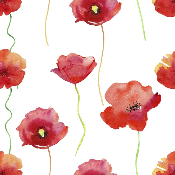 Poppy flowers Watercolor Pattern — Stock Photo, Image