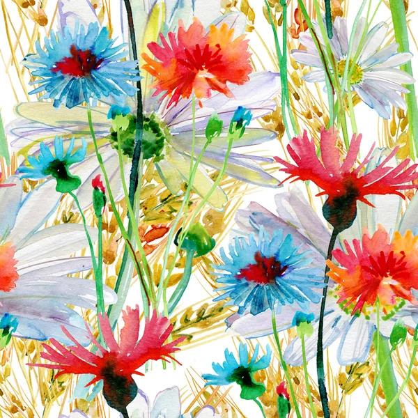 Wild flowers in watercolor, pattern — Stock Photo, Image