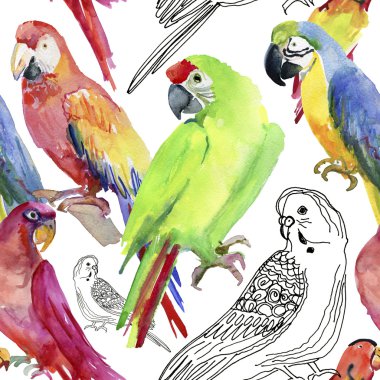 Watercolor tropical parrots seamless pattern. clipart