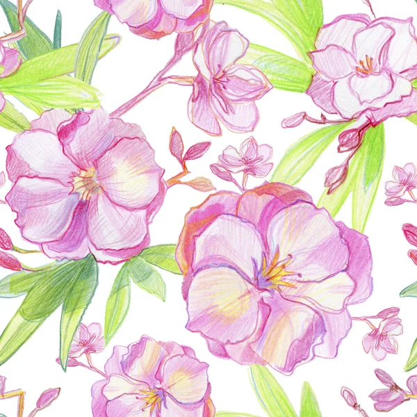 Akvarel Květinový Vzor Botanické Bezešvé — Stock fotografie