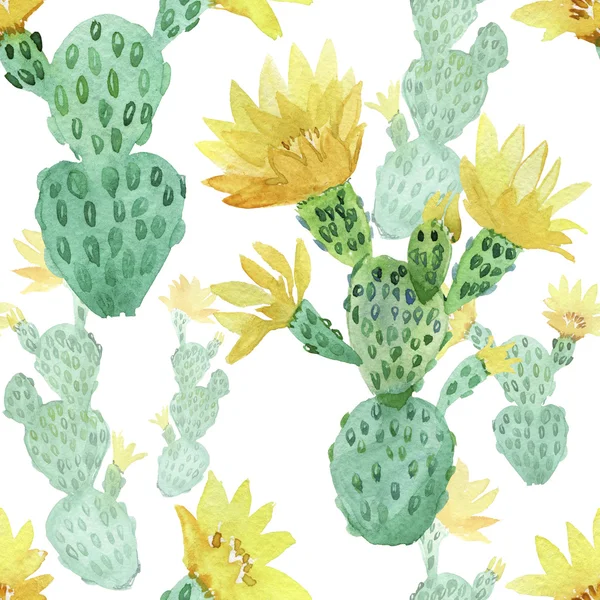 watercolor seamless cactus pattern background