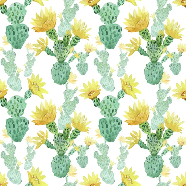 Akvarel Bezešvé Kaktus Vzorek Pozadí — Stock fotografie