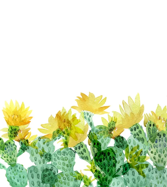 Aquarell Kaktus Und Blumen Botanische Karte — Stockfoto