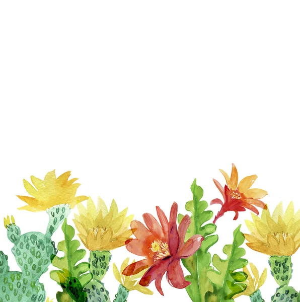 Watercolor Cactus Flowers Botanical Card — Stock Photo, Image