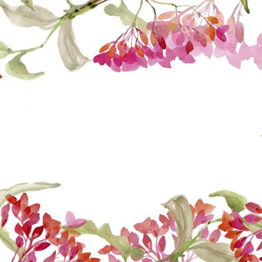 Beyaz izole suluboya çiçekli güzel çerçeve 