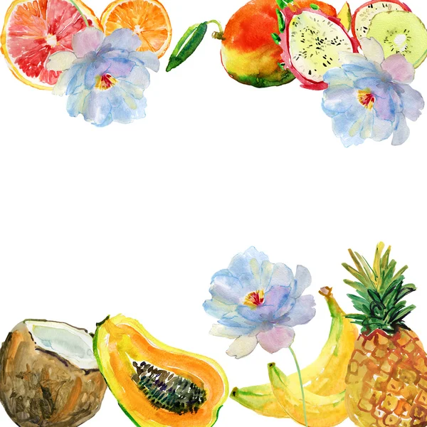 Watercolor Exotic Fruits Flowers Isolated White — Stock Photo, Image