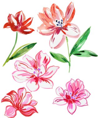 Kırmızı suluboya çiçekler. Kusursuz arkaplan.