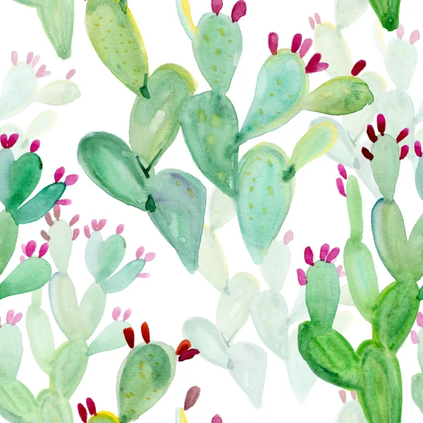 Watercolor seamless cactus pattern background — Stock Photo, Image