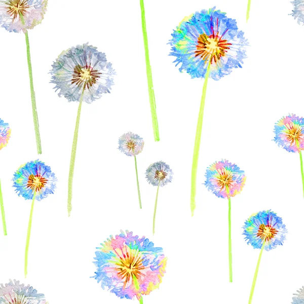 Seamless floral pattern white dandelion — Stock Photo, Image