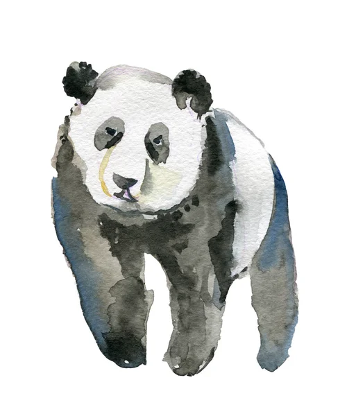 Панда, акварель — стоковое фото
