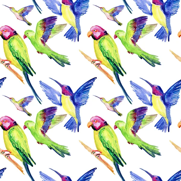 Watercolor birds — Stock Photo, Image