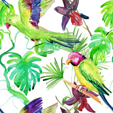 Flora tropik çiçekler ve kuşlar