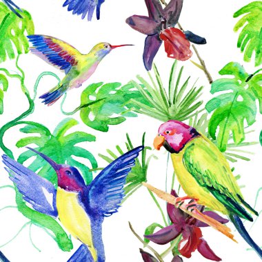 Flora tropik çiçekler ve kuşlar