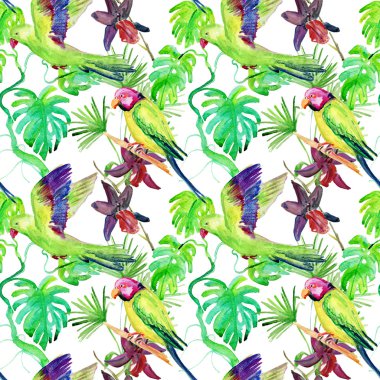 Flora tropik çiçekler ve kuşlar