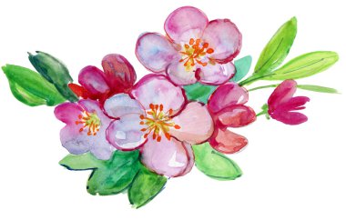 Yeni gelişen ağaç brunch