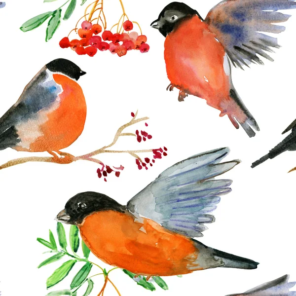 Akvarel bezešvé vzor s ptáky — Stock fotografie