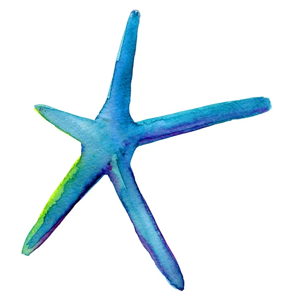 Estrella de mar — Foto de Stock