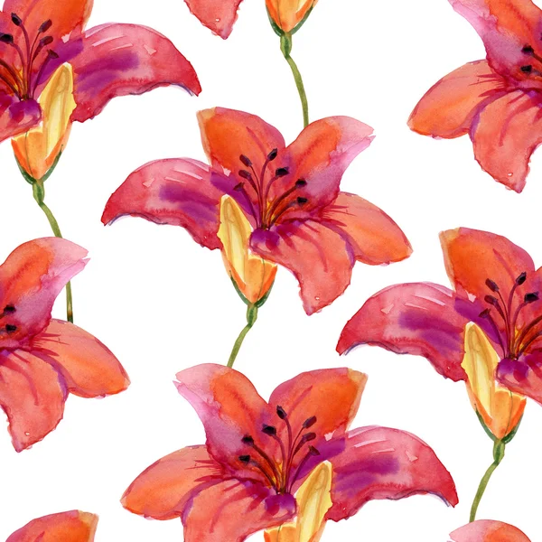 Aquarela vermelho lírio flores sem costura padrão — Fotografia de Stock